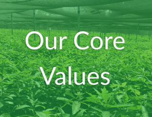 Cropmasters-Core-Values